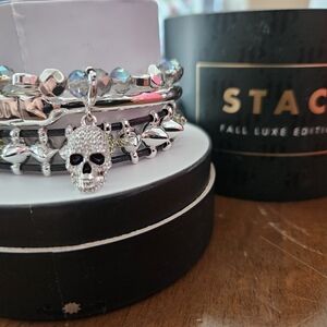 Silver Skull Charm Bracelet Set